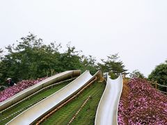-顺峰山公园