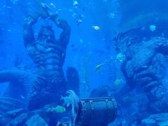 -哈尔滨波塞冬海底世界