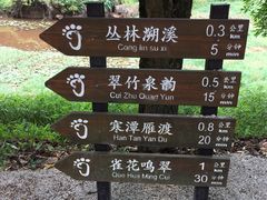 -大雁山风景区