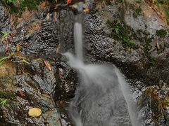 -广州市白云山风景名胜区