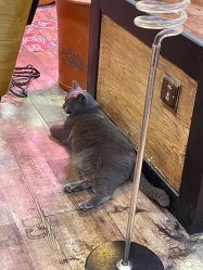 -青木造型HAIR·あおき髪を刈る潮人店