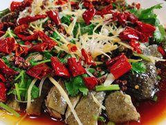 -古道惠风饭庄