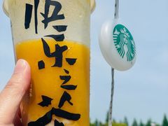 -上海滨江森林公园