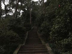-南山植物园