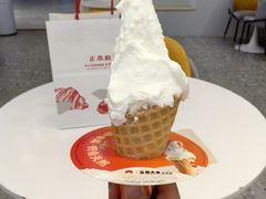 -野人先生现做冰淇淋(北京环宇荟店)