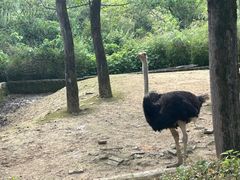 -杭州野生动物世界