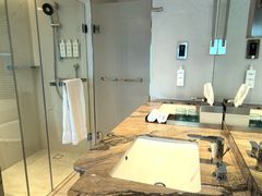 -新加坡文华东方酒店