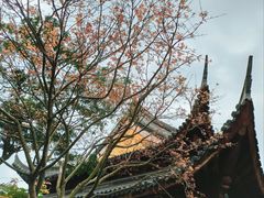 -龙华寺