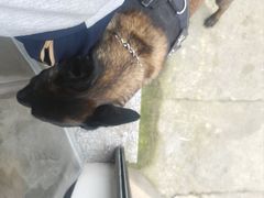 -小李子油焖大虾向阳总店