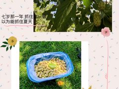 -御林古桑园