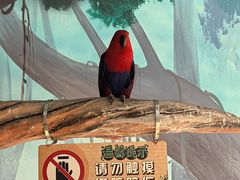 -石家庄市动物园