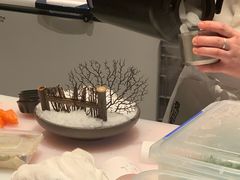 -德川家日本料理(顺义华联店)