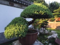 -水绘园