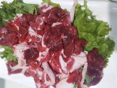 手切羊肉-蒙星月涮肚火锅城(宏运家园店)