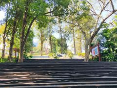 -广西壮族自治区药用植物园