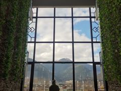 -林芝工布庄园希尔顿酒店-猎味中餐厅