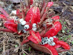 -西岭雪山大飞水景区
