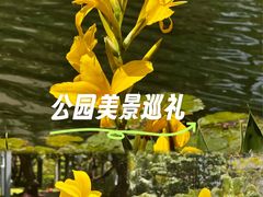 -四海公园(南山区)