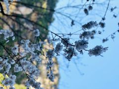 -黑龙潭风景区