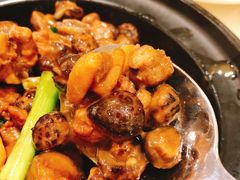 -老洋坊饭店(厚街东宝路店)