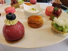 -蝶舍·MAISON PAPILLON