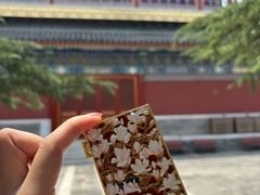 -北京艺术博物馆(万寿寺)