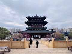 -江心屿景区