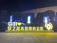 -梦之蓝青奥体育公园体育馆