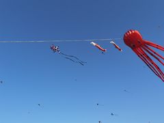 -潍坊滨海云门国际风筝放飞场