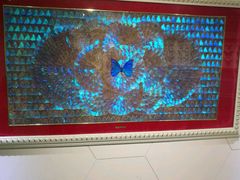 -上海昆虫博物馆