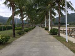-亚龙湾国际玫瑰谷