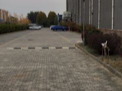 -乔波室内滑雪场