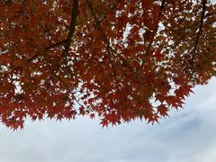 -梁鸿国家湿地公园