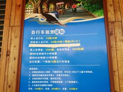 -大湾区中央湿地公园