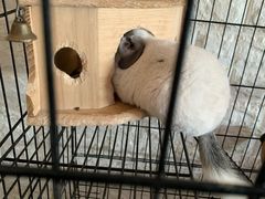 -平行世界·猫咖(首经贸店)