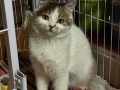 -瑞派天宁宠物医院·猫科·异宠中心
