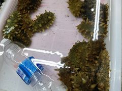 -登州市场(登州路店)