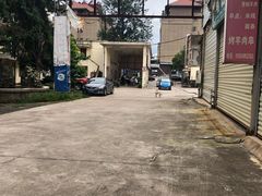 -张大妈饭店