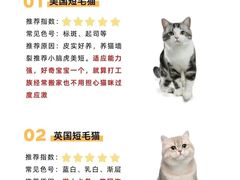 -纳吉亚猫专科动物医院博雅分院