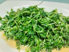 -阿双温州饭店
