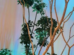 -桂满陇(虹桥天地店)