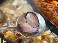 -小志家.野生菌鲜切牦牛肉牛杂火锅