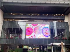 -OCT PARK欢乐时光