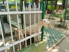 -荆州中山公园动物园