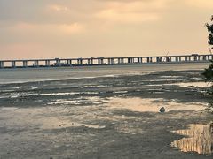 -宝安西湾红树林湿地公园