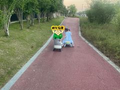 -长田漾湿地公园