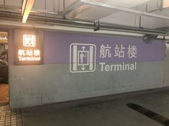 -上海浦东国际机场T1航站楼-P1停车场