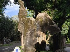 -云南勐巴娜西珍奇园