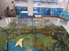 -阿伟海鲜楼·福建菜(涵江店)