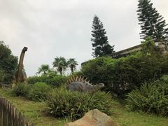 -自贡恐龙博物馆